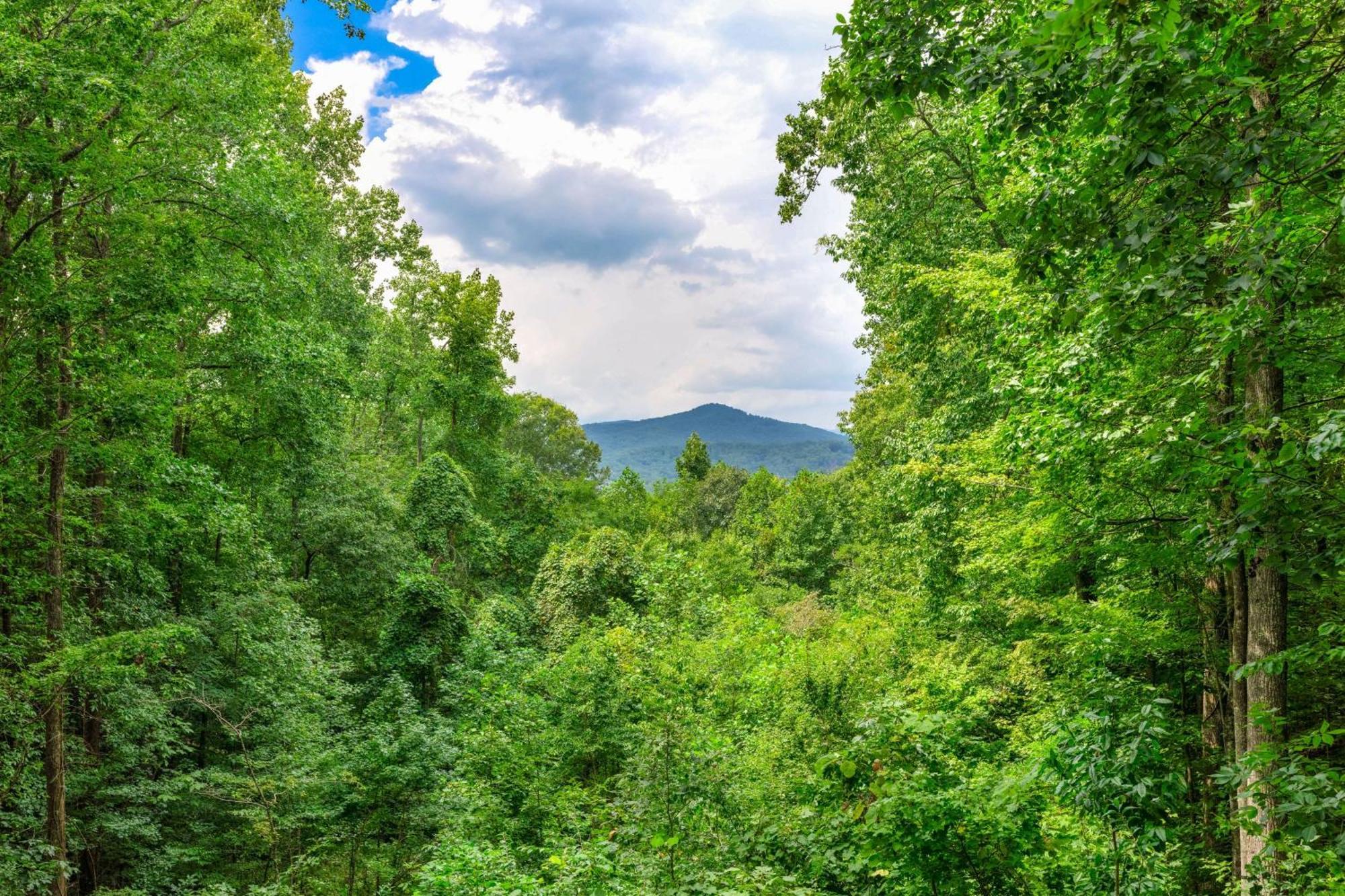 Villa Ken'S Cabin Blue Ridge Exterior foto